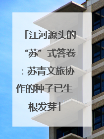 江河源头的“苏”式答卷：苏青文旅协作的种子已生根发芽