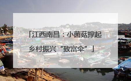 江西南昌：小菌菇撑起乡村振兴“致富伞”