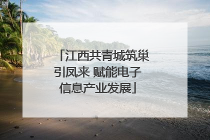 江西共青城筑巢引凤来 赋能电子信息产业发展