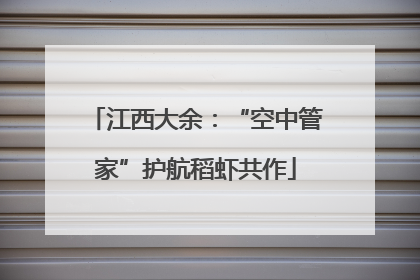 江西大余：“空中管家”护航稻虾共作