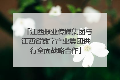 江西报业传媒集团与江西省数字产业集团进行全面战略合作