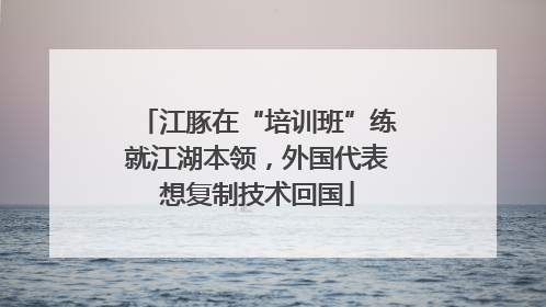江豚在“培训班”练就江湖本领，外国代表想复制技术回国
