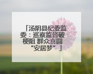 汤阴县纪委监委：巡察监督破梗阻 群众喜圆“安居梦”