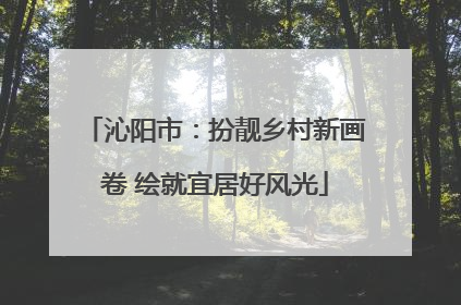 沁阳市：扮靓乡村新画卷 绘就宜居好风光