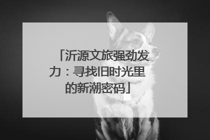 沂源文旅强劲发力：寻找旧时光里的新潮密码
