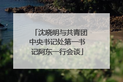 沈晓明与共青团中央书记处第一书记阿东一行会谈
