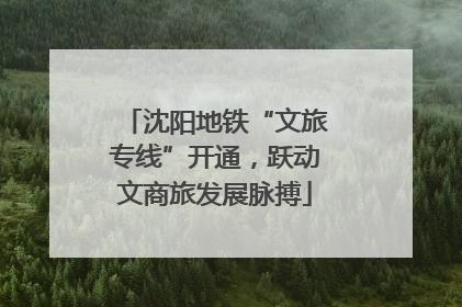 沈阳地铁“文旅专线”开通，跃动文商旅发展脉搏