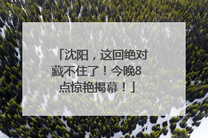 沈阳，这回绝对藏不住了！今晚8点惊艳揭幕！