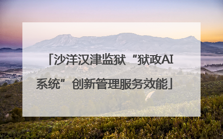 沙洋汉津监狱“狱政AI系统”创新管理服务效能