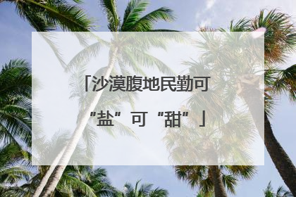 沙漠腹地民勤可“盐”可“甜”