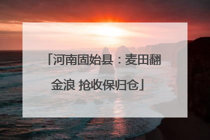 河南固始县：麦田翻金浪 抢收保归仓