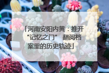 河南安阳内黄：推开“记忆之门” 翻阅档案里的历史轨迹