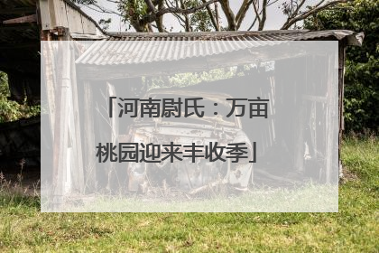 河南尉氏：万亩桃园迎来丰收季