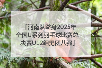 河南队跻身2025年全国U系列羽毛球比赛总决赛U12组男团八强