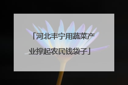 河北丰宁用蔬菜产业撑起农民钱袋子