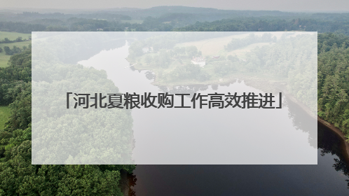 河北夏粮收购工作高效推进