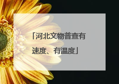 河北文物普查有速度、有温度
