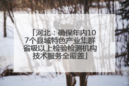 河北：确保年内107个县域特色产业集群省级以上检验检测机构技术服务全覆盖