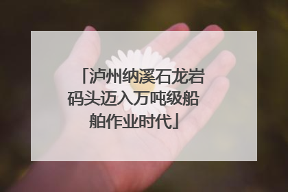 泸州纳溪石龙岩码头迈入万吨级船舶作业时代