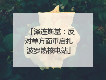泽连斯基：反对单方面重启扎波罗热核电站