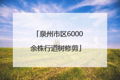 泉州市区6000余株行道树修剪