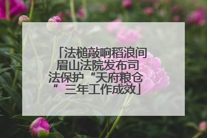 法槌敲响稻浪间 眉山法院发布司法保护“天府粮仓”三年工作成效