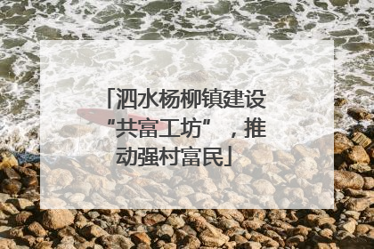泗水杨柳镇建设“共富工坊”，推动强村富民