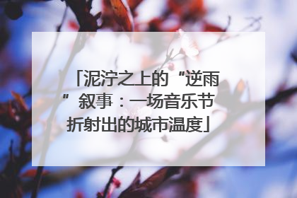 泥泞之上的“逆雨”叙事：一场音乐节折射出的城市温度