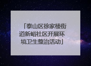 泰山区徐家楼街道新峪社区开展环境卫生整治活动