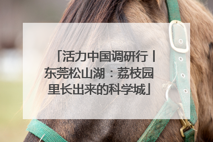 活力中国调研行丨东莞松山湖：荔枝园里长出来的科学城