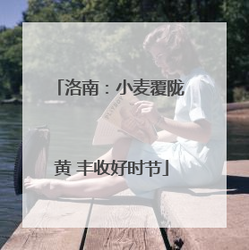 洛南：小麦覆陇黄 丰收好时节