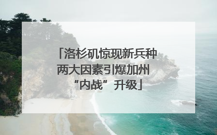 洛杉矶惊现新兵种 两大因素引爆加州“内战”升级