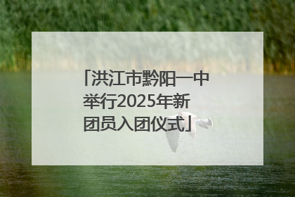 洪江市黔阳一中举行2025年新团员入团仪式