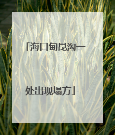 海口甸昆沟一处出现塌方
