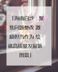海南白沙：聚焦问题整改 激励担当作为 绘就高质量发展新图景