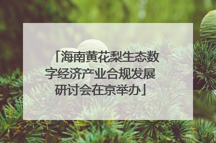海南黄花梨生态数字经济产业合规发展研讨会在京举办