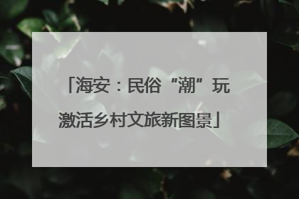 海安：民俗“潮”玩激活乡村文旅新图景