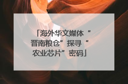 海外华文媒体“晋南粮仓”探寻“农业芯片”密码