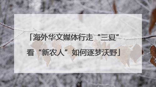 海外华文媒体行走“三夏” 看“新农人”如何逐梦沃野