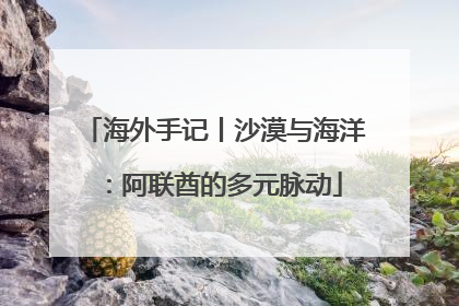 海外手记丨沙漠与海洋：阿联酋的多元脉动