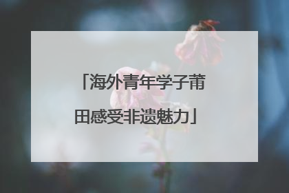 海外青年学子莆田感受非遗魅力