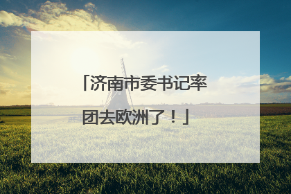 济南市委书记率团去欧洲了！