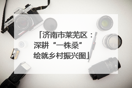 济南市莱芜区：深耕“一株桑” 绘就乡村振兴图