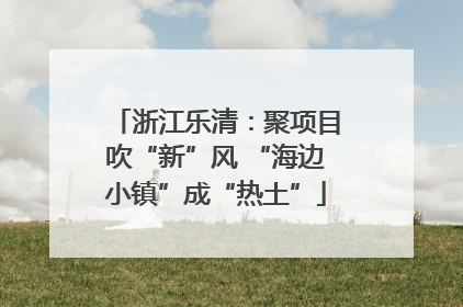 浙江乐清：聚项目吹“新”风 “海边小镇”成“热土”
