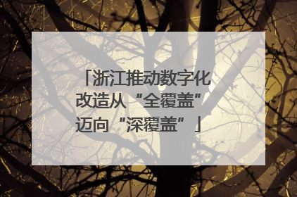 浙江推动数字化改造从“全覆盖”迈向“深覆盖”