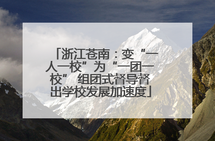 浙江苍南：变“一人一校”为“一团一校” 组团式督导督出学校发展加速度