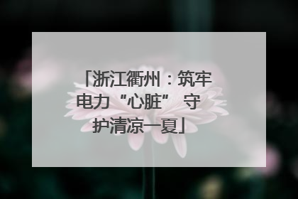 浙江衢州：筑牢电力“心脏” 守护清凉一夏