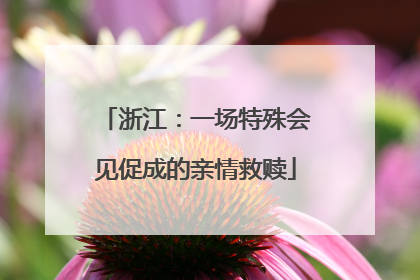 浙江：一场特殊会见促成的亲情救赎