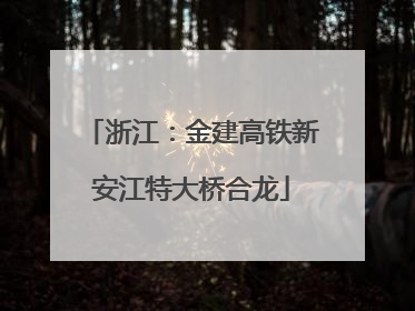 浙江：金建高铁新安江特大桥合龙