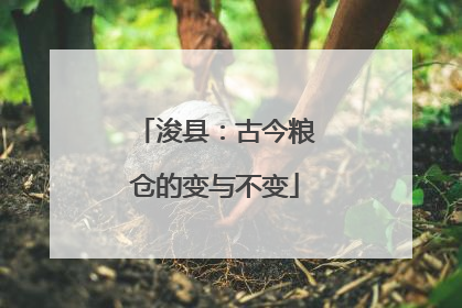 浚县：古今粮仓的变与不变